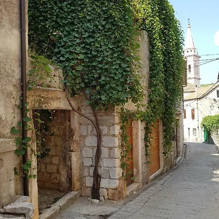 Marijeta Jelsa (Hvar)