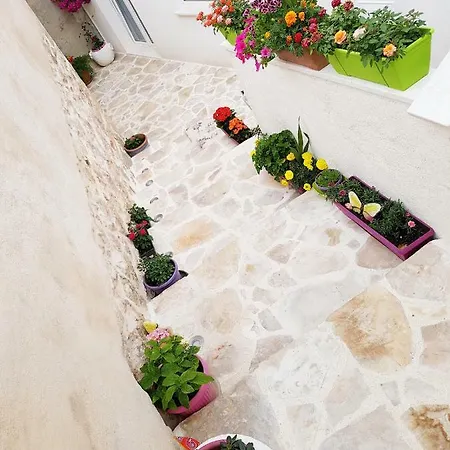 Marijeta Jelsa (Hvar)